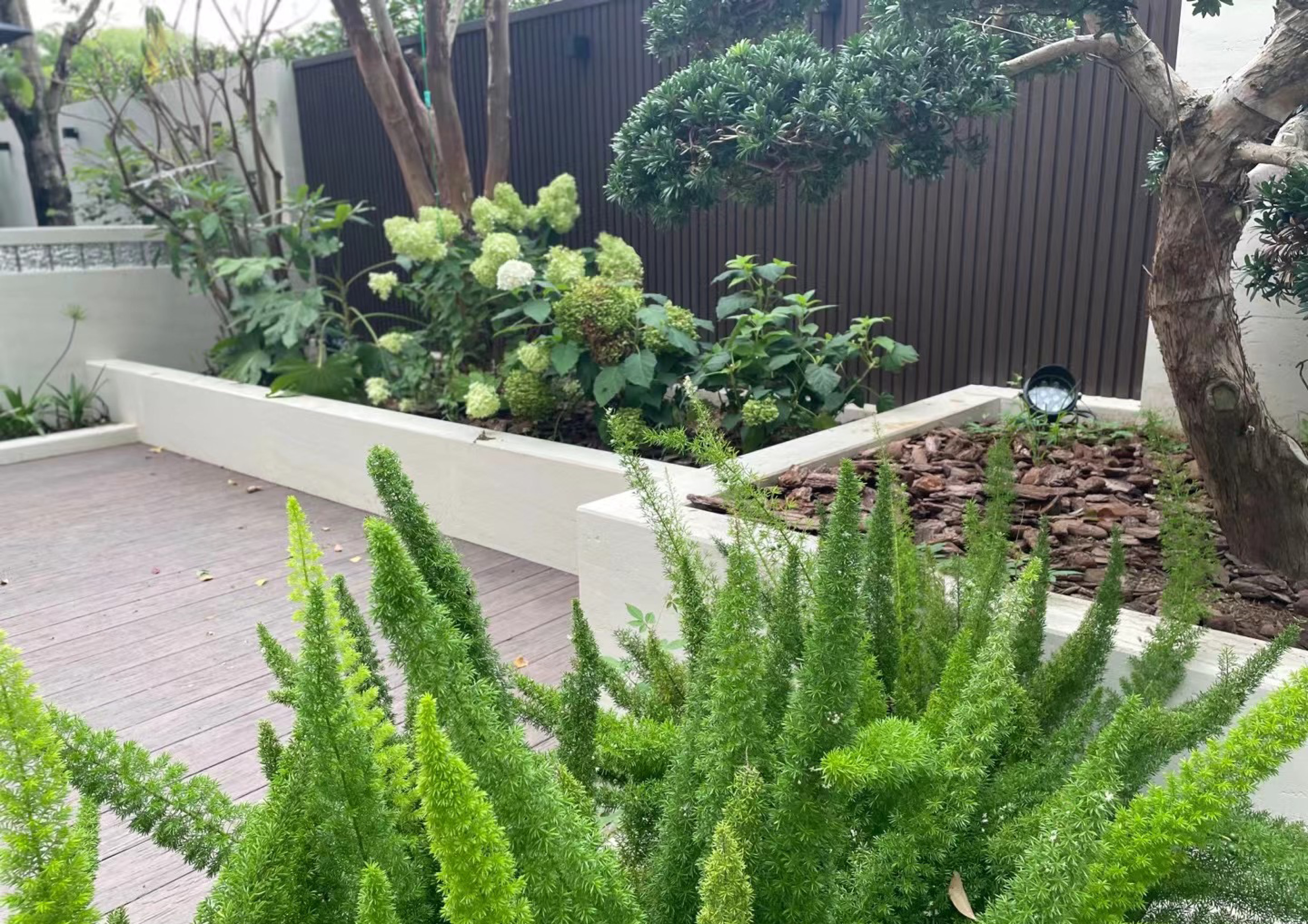 植物设计